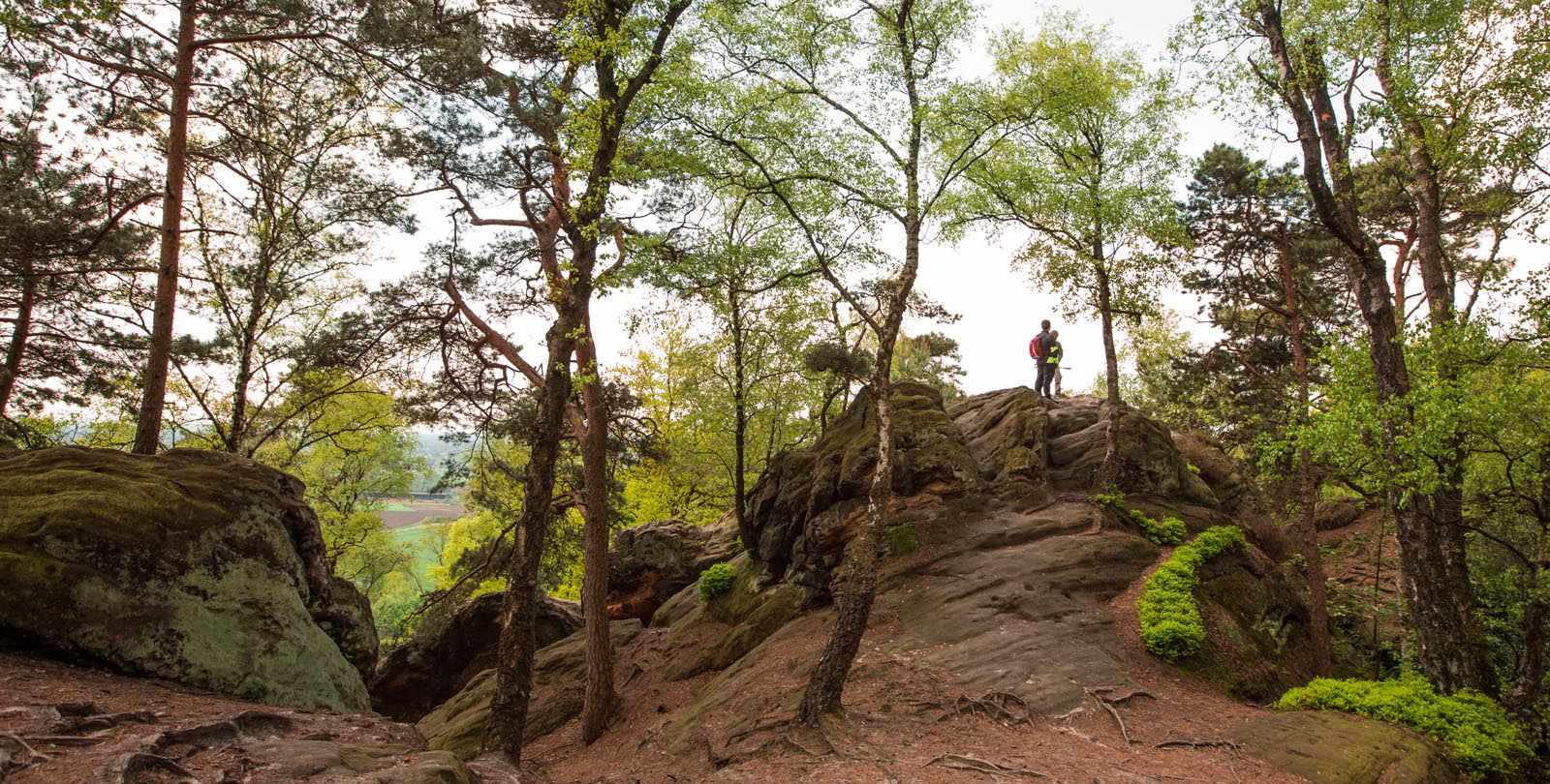 Dörenther Klippen / Tecklenburger Land / Teutoschleifen